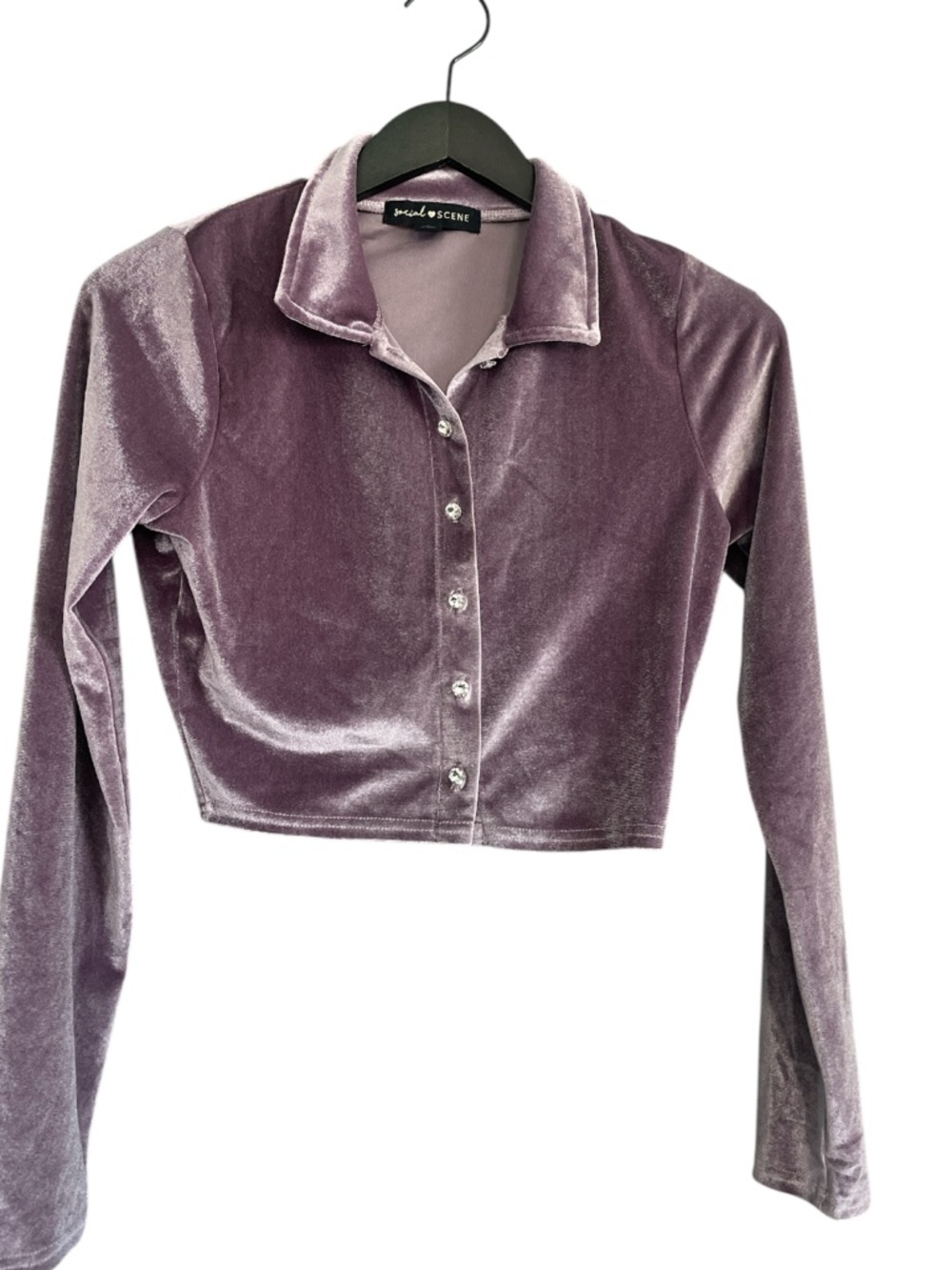 Motel Rocks Velvet Cropped Button-Down Shirt in Dusty Mauve
